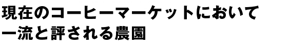 現在のコーヒーマーケットにおいて一流と評される農園。