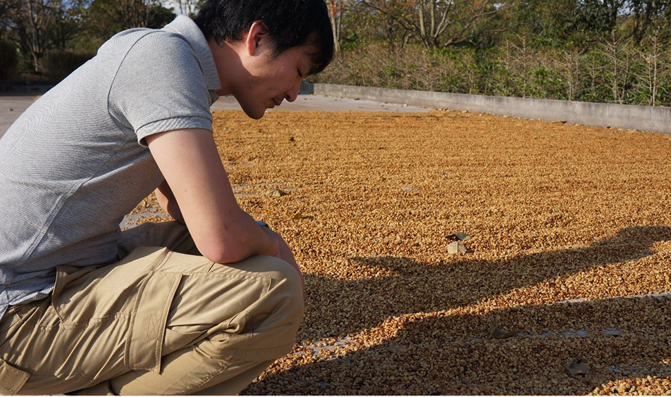 「精製」がコーヒーの味を大きく分けます。