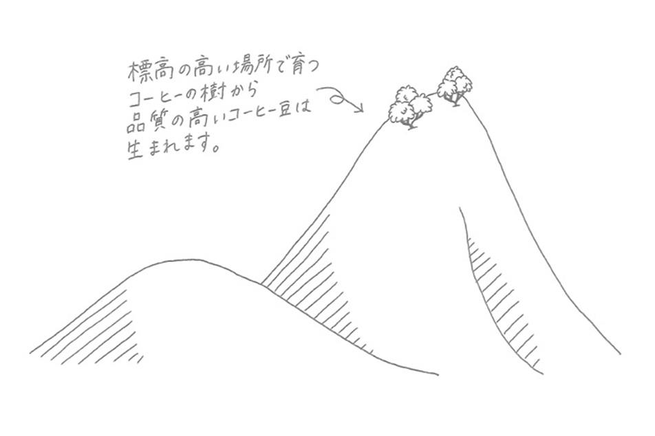 悩ましい温暖化