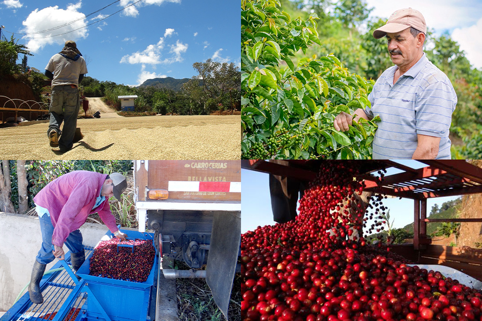 またひとつ、「小さな農園」の銘柄が加わりました。