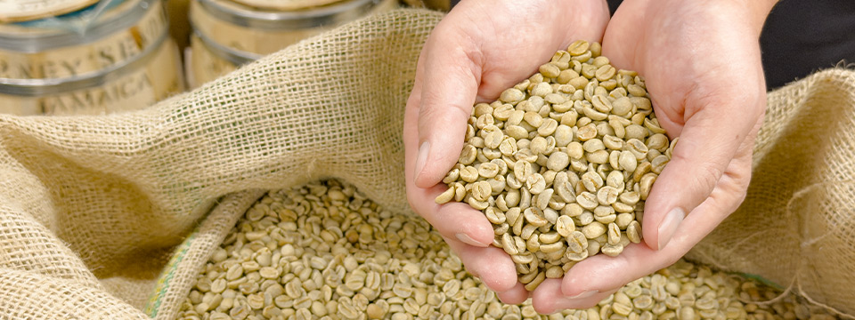 ���C���r�W���A��