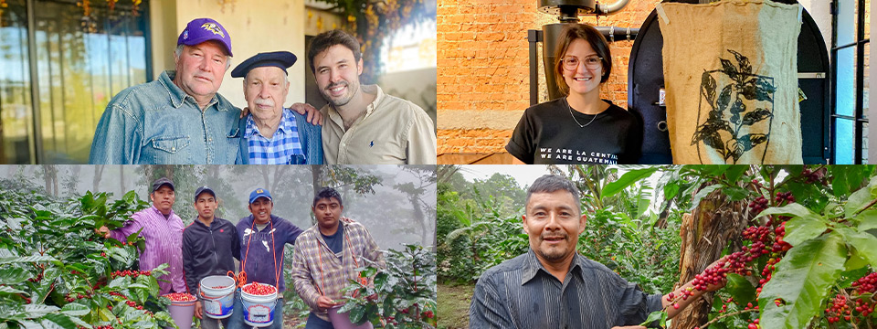 ���C���r�W���A��