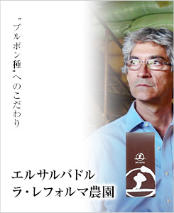  �G���T���o�h�� ���E���t�H���}�_���F�g�u���{����h�ւ̂������