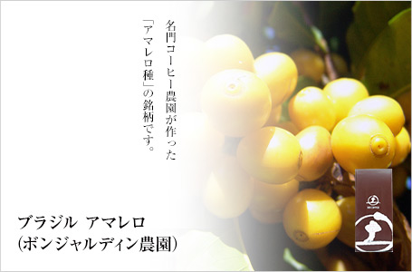 �u���W�� �A�}�����F����R�[�q�[�_����������u�A�}������v�̖����ł��B