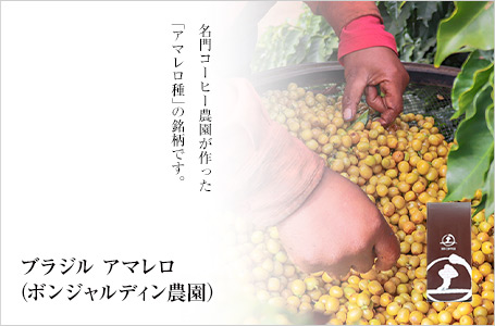 �u���W�� �A�}�����F����R�[�q�[�_����������u�A�}������v�̖����ł��B