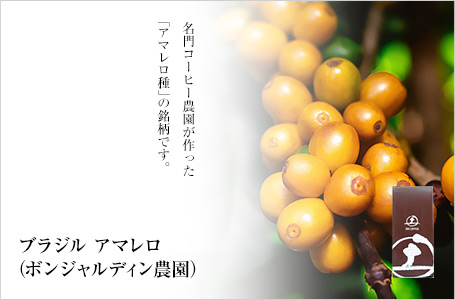 �u���W�� �A�}�����F����R�[�q�[�_����������u�A�}������v�̖����ł��B