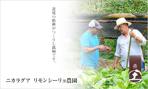 �j�J���O�A �������V�[�����_���F�t���̐��_�����肵�����ł��B