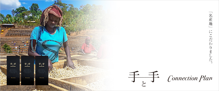 �w��Ǝ� Connection Plan�x