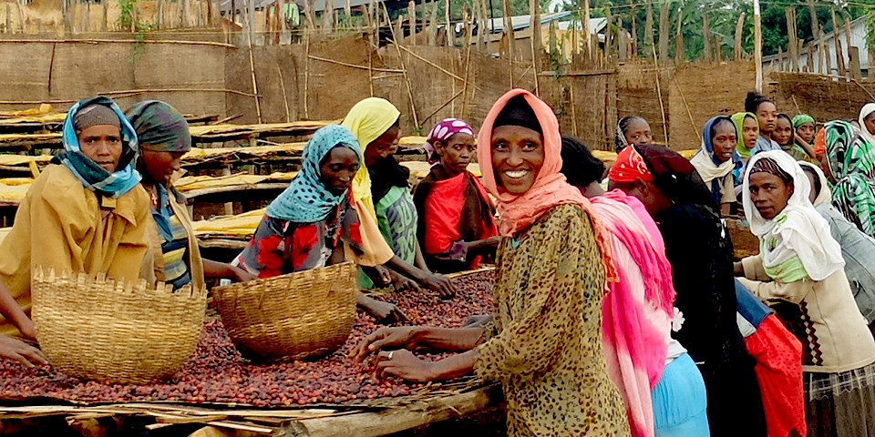 エチオピア イルガチェフェ村から作り出された銘柄。世界に流通する「モカ」系の銘柄のなかでも、コーヒー市場において絶大な評価を得ています。