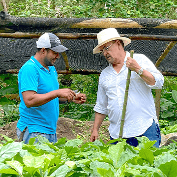 �j�J���O�A �������V�[�����_��