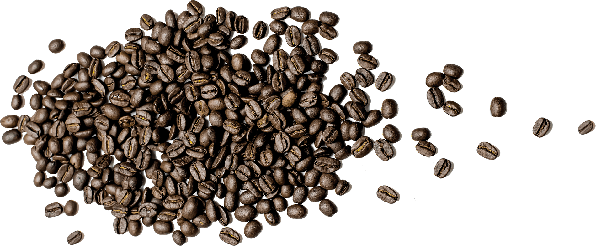 コーヒー豆・粉イメージ写真