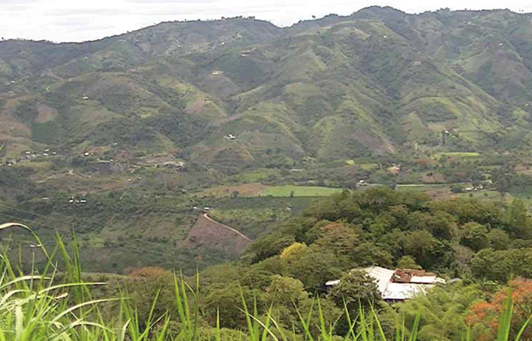 ����3�T�u�r�W���A��