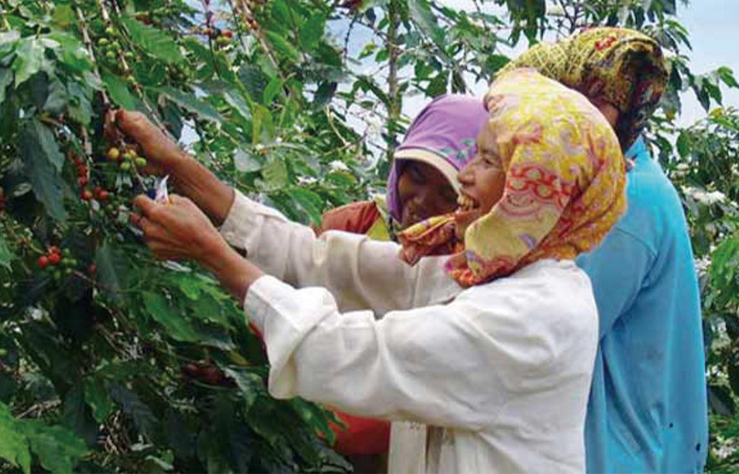 ����4�T�u�r�W���A��