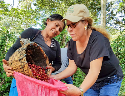 �T�u�C���[�W