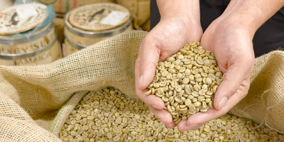 ���C���r�W���A��