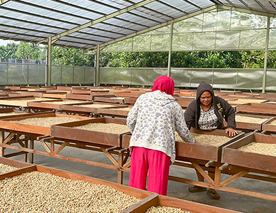 �T�u�C���[�W