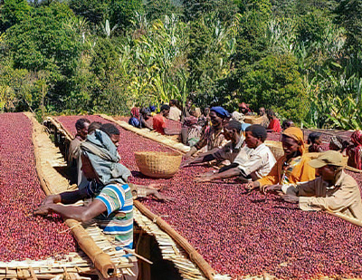 �T�u�C���[�W