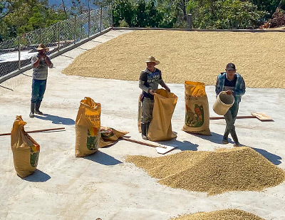 �T�u�C���[�W