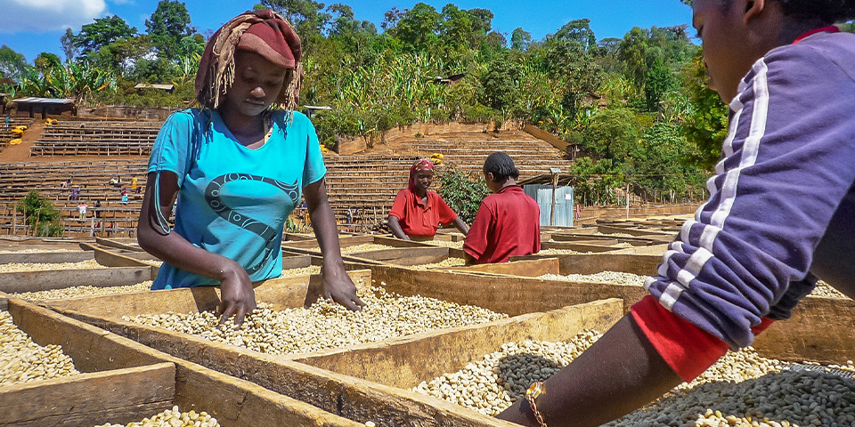 ���C���C���[�W