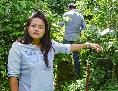 �T�u�C���[�W