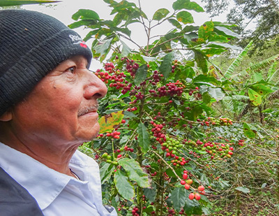 �T�u�C���[�W