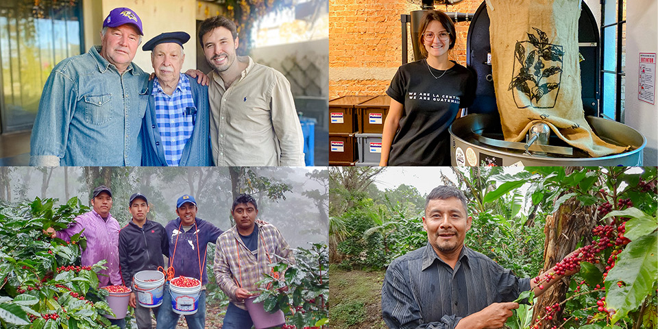 ���C���C���[�W