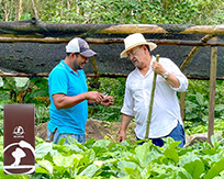 �j�J���O�A�@�������V�[�����_���@5379�~(�ō�)