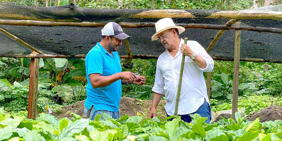 �j�J���O�A �������V�[�����_��