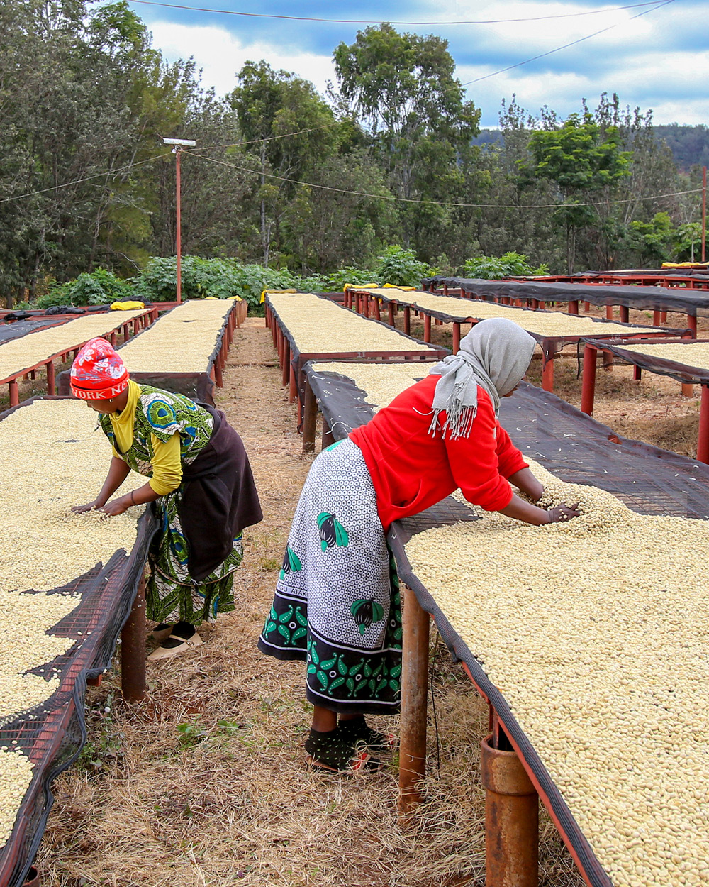 wƎ Connection Planx