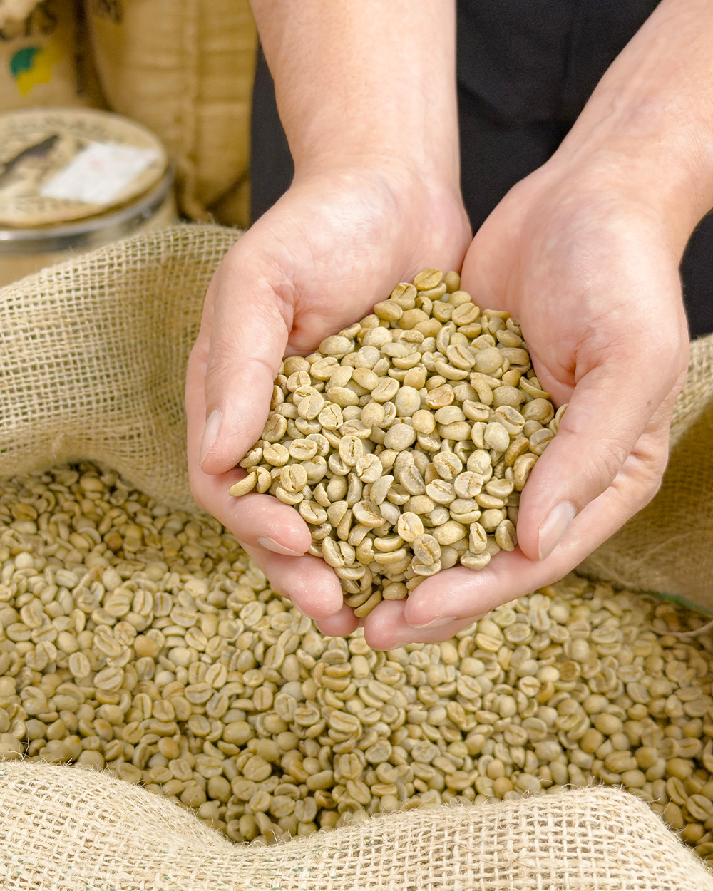 �w��Ǝ� Connection Plan�x